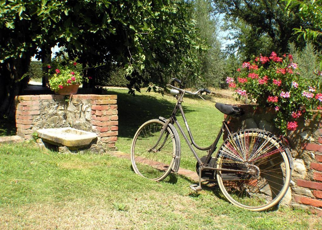 Agriturismo Il Sole Verde Bucine Extérieur photo