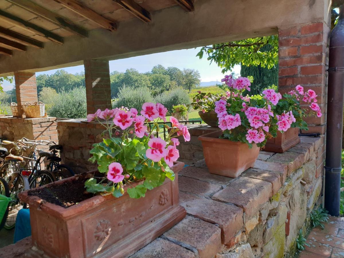 Agriturismo Il Sole Verde Bucine Extérieur photo